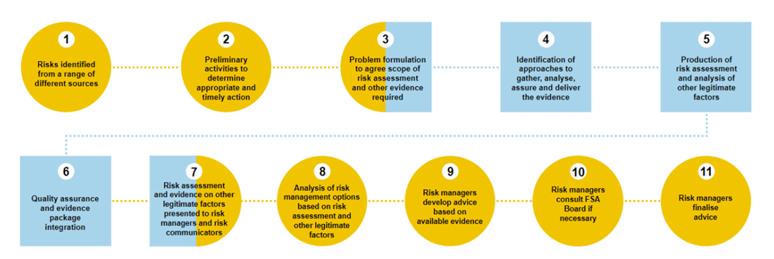 Risk analysis process